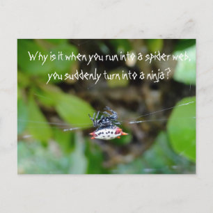 Crab Spider Postcard / Funny Ninja Zitat Postkarte