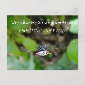 Crab Spider Postcard / Funny Ninja Zitat Postkarte