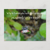Crab Spider Postcard / Funny Ninja Zitat Postkarte (Vorderseite)