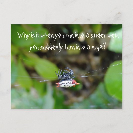 Crab Spider Postcard / Funny Ninja Zitat Postkarte (Vorderseite)