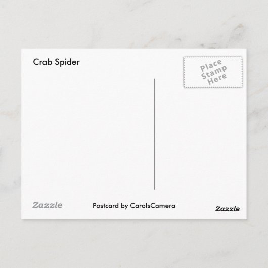 Crab Spider Postcard Postkarte (Rückseite)