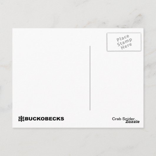 Crab Spider. Postkarte (Rückseite)