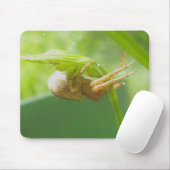 Crab Spider Thomisid Mousepad (Mit Mouse)