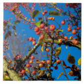 Crab wendet sich gegen eine Blue Sky Keramik Tile Fliese (Vorderseite)