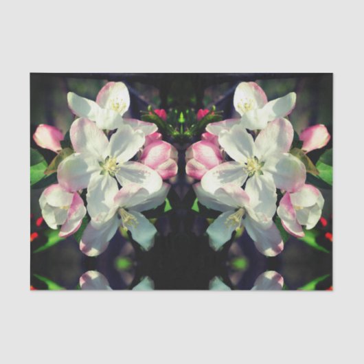 Crabappapapuler Frühlingsblüten Dekoupage der Blum Seidenpapier (Vorderseite)