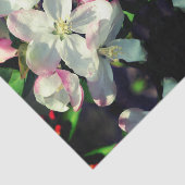 Crabappapapuler Frühlingsblüten Dekoupage der Blum Seidenpapier (Ausschnitt)