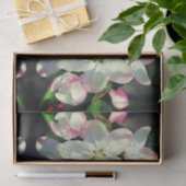 Crabappapapuler Frühlingsblüten Dekoupage der Blum Seidenpapier (Geschenk)