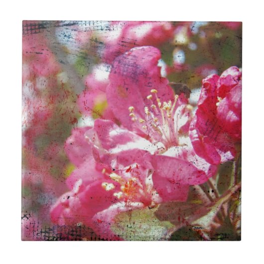 Crabappelblüten Fliese (Vorderseite)