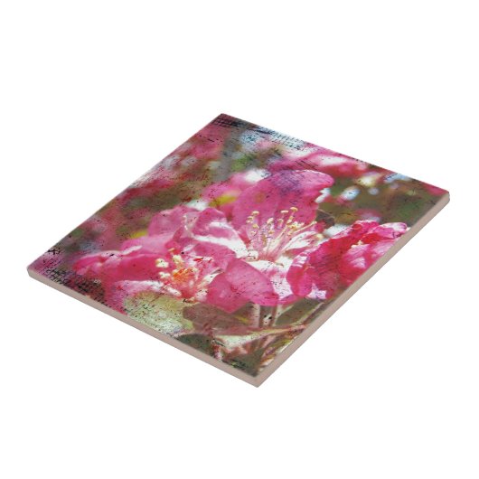 Crabappelblüten Fliese (Seite)