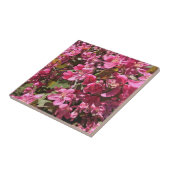 Crabappelblüten Fliese (Seite)