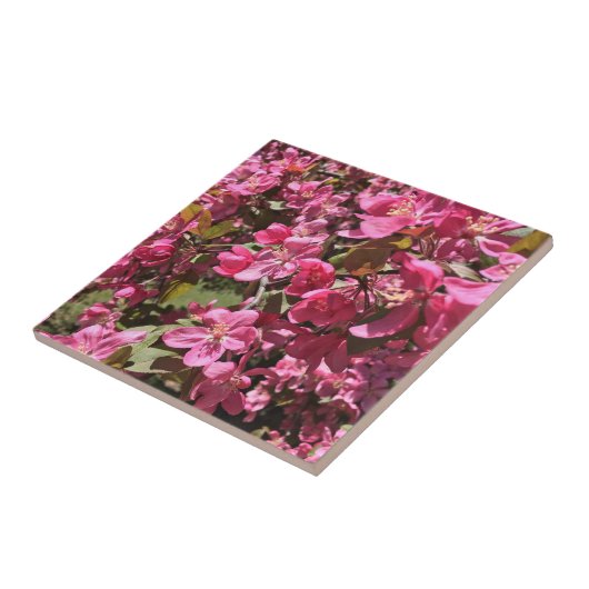 Crabappelblüten Fliese (Seite)