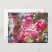 Crabappelblüten Postkarte (Vorne/Hinten)