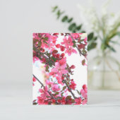 Crabapple Beauty Postkarte (Stehend Vorderseite)