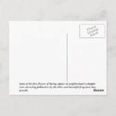 Crabapple Beauty Postkarte (Rückseite)