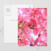 Crabapple Bees 2 Postkarte (Vorne/Hinten)