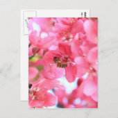Crabapple Bees 2 Postkarte (Vorne/Hinten)