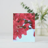 Crabapple Bees Postkarte (Stehend Vorderseite)