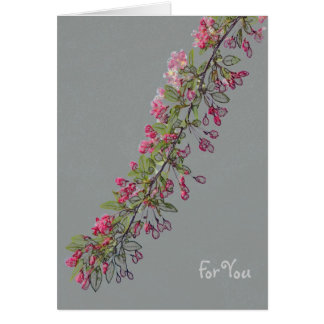 Crabapple Blüten vom Central Park