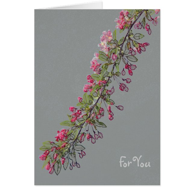 Crabapple Blüten vom Central Park (Vorne)