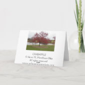 Crabapple Feiertagskarte (Rückseite)