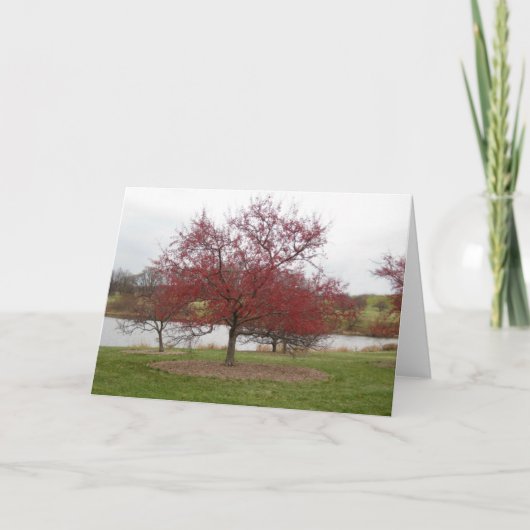 Crabapple Feiertagskarte (Vorderseite)