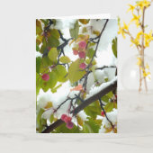 Crabapple: Schnee Karte (Gelbe Blume)