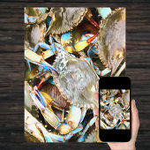 Crabby Blue Crabs Poster