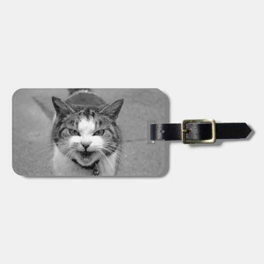 Crabby Cat Luggage Tag Gepäckanhänger (Vorderseite horizontal)