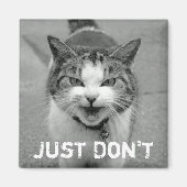 Crabby Cat Magnet (Vorne)