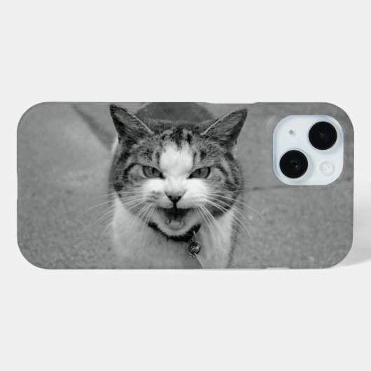 Crabby Cat mit annoyed Yowling Face Case-Mate iPhone Hülle (Rückseite (Horizontal))