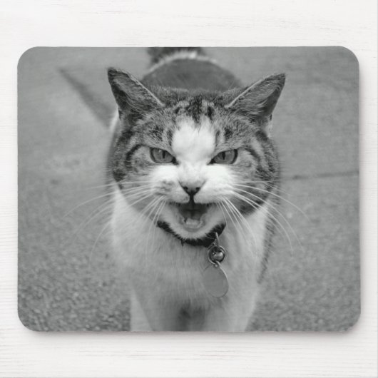 Crabby Cat Mousepad (Vorne)