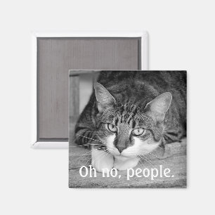 Crabby Cat: "Oh nein, Leute." Magnet