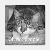 Crabby Cat: "Oh nein, Leute." Magnet (Vorne)