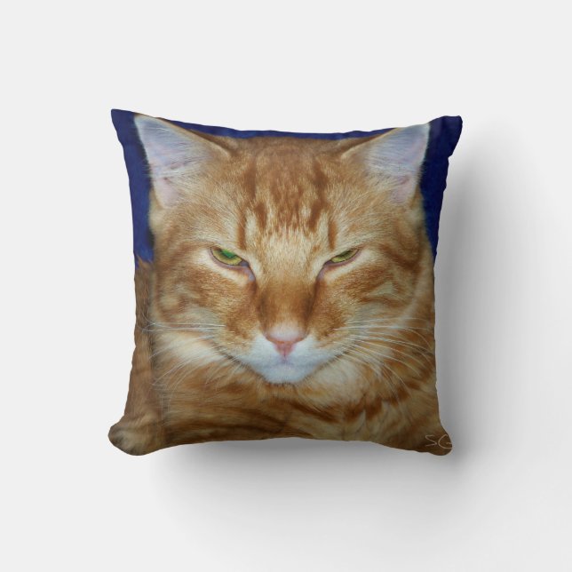 Crabby Cat - Orange Maine Coon Throw Kissen (Vorderseite)