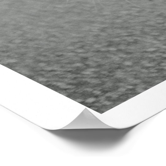 Crabby Cat Poster (Ecke)