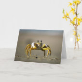 Crabby Day Karte (Gelbe Blume)