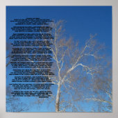 Crabby Old ManWas sehen Sie nur ... - Maßgeschneid Poster (Vorne)