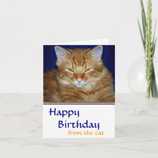Crabby Tabby Cat Birthday Card - Funny Karte (Vorderseite)