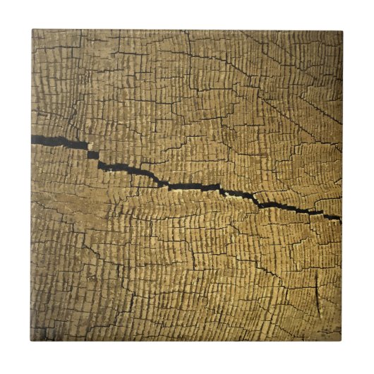 Crack Fliese (Vorderseite)