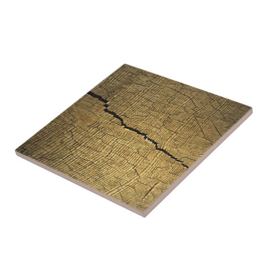 Crack Fliese (Seite)