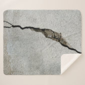 Crack wall concrete texture stone sherpadecke (Vorderseite (Horizontal))
