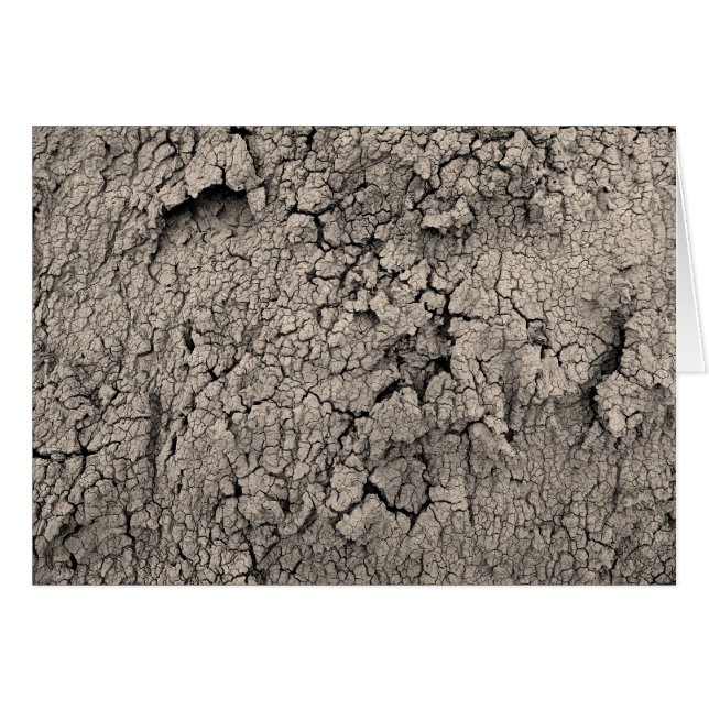 Cracked Earth Cool Textur (Vorderseite (Horizontal))