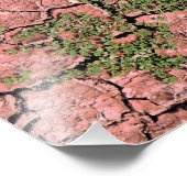 Cracked Earth Cool Textur Fotodruck (Ecke)