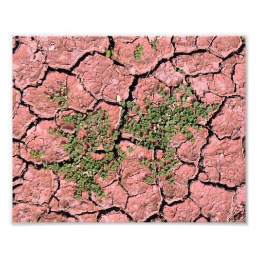 Cracked Earth Cool Textur Fotodruck (Vorne)