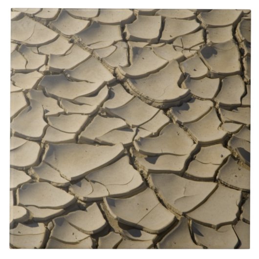 Cracked Mud Formation im Talboden von Fliese (Vorderseite)