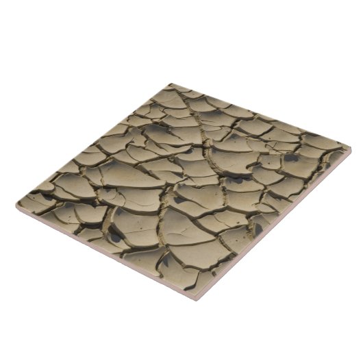 Cracked Mud Formation im Talboden von Fliese (Seite)