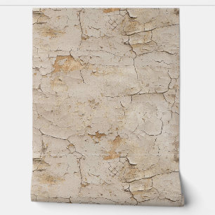 Cracked Textured Painted Stucco Wall Tapete