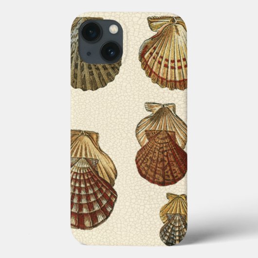 Crackig Antike Muscheln Case-Mate iPhone Hülle (Rückseite)