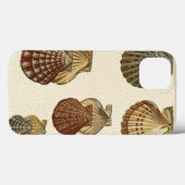 Crackig Antike Muscheln Case-Mate iPhone Hülle (Rückseite (Horizontal))