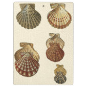 Crackig Antike Muscheln Klemmbrett (Rückseite)